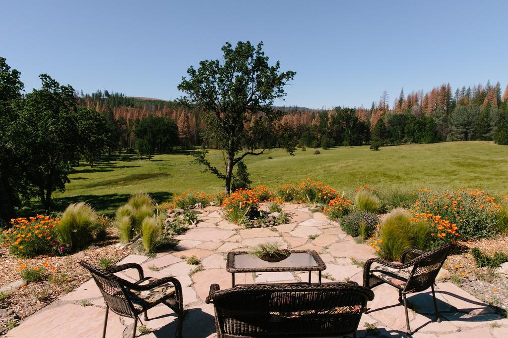 Red Tail Ranch Bed & Breakfast Groveland Exterior photo