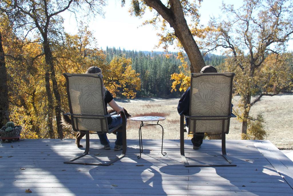 Red Tail Ranch Bed & Breakfast Groveland Exterior photo